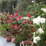 Διαμέρισμα Stella 's Sea Front Γένι