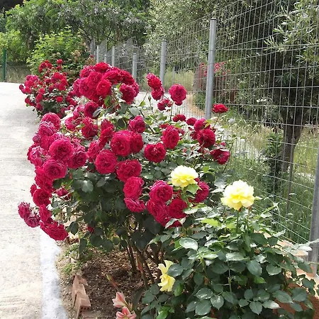 Διαμέρισμα Stella 's Sea Front