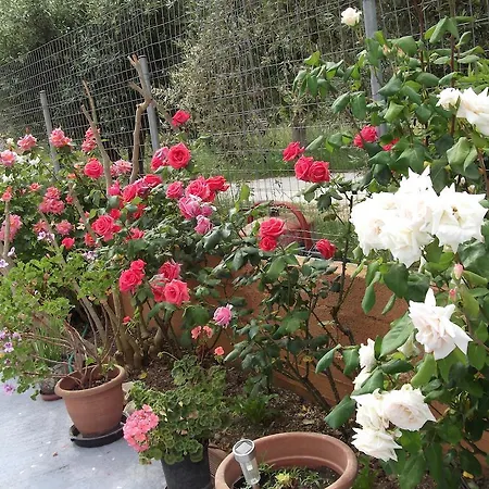 דירה Stella 's Sea Front Yénion