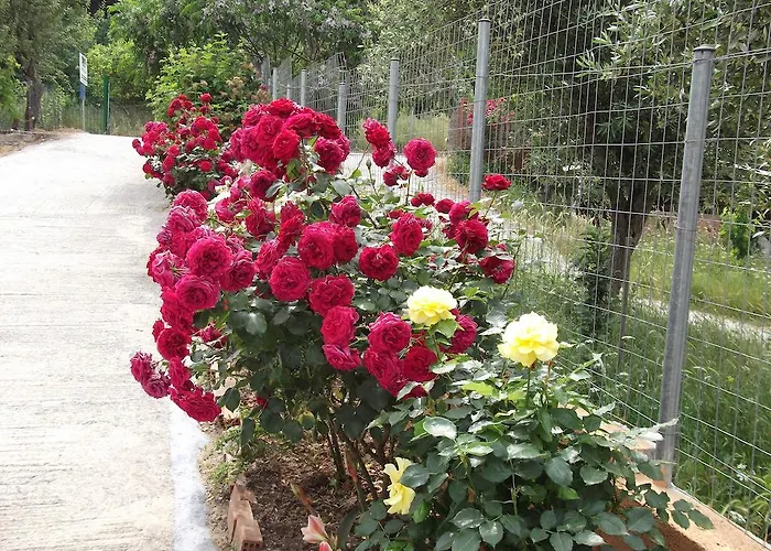 Apartment Stella 's Sea Front